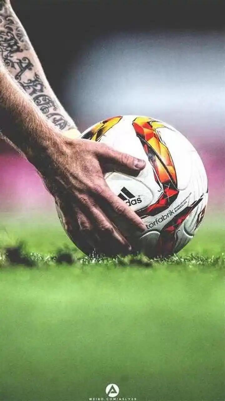 特别是在经 特别是在经